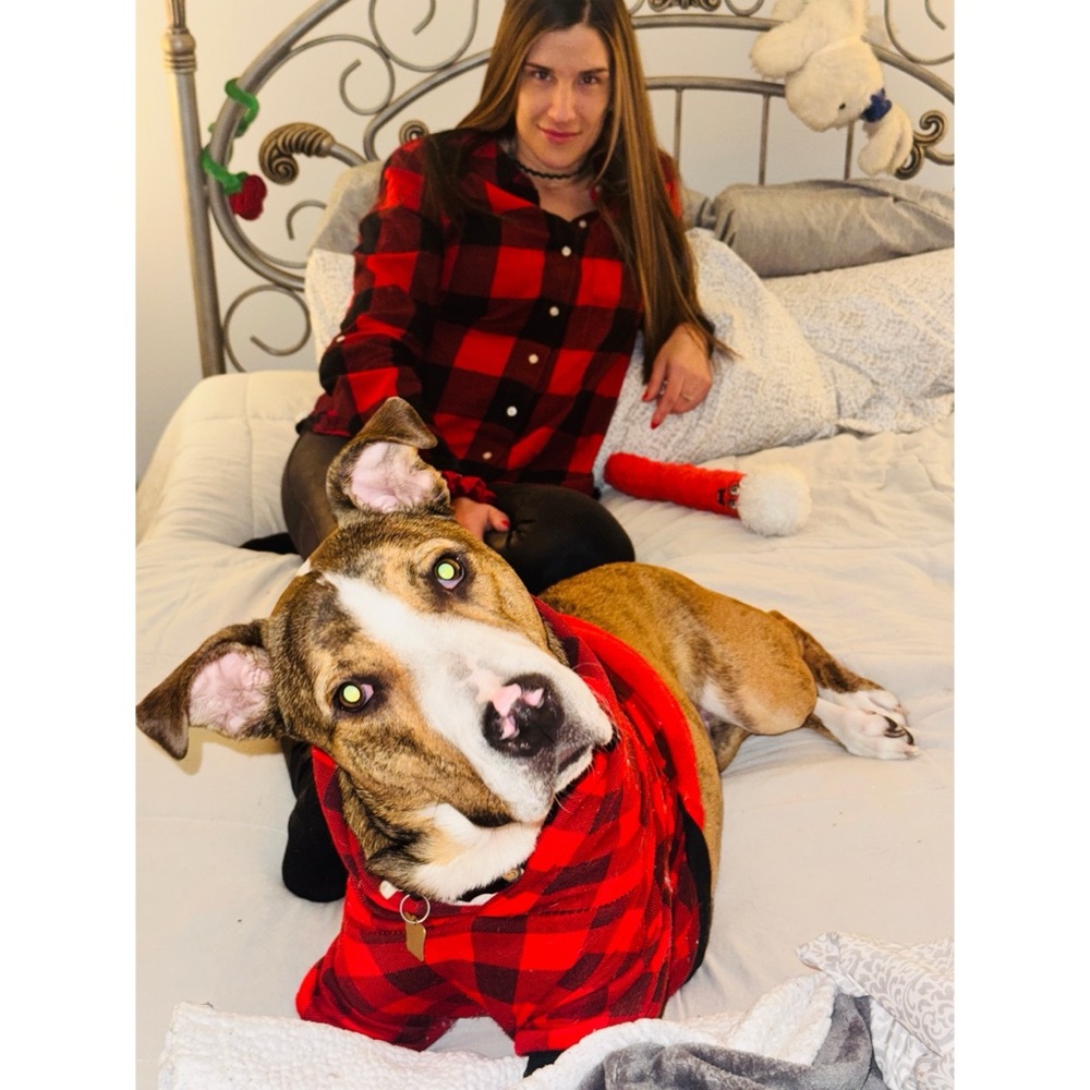 Meet your Posher, Gina Boscaino - Picture 7 of 16